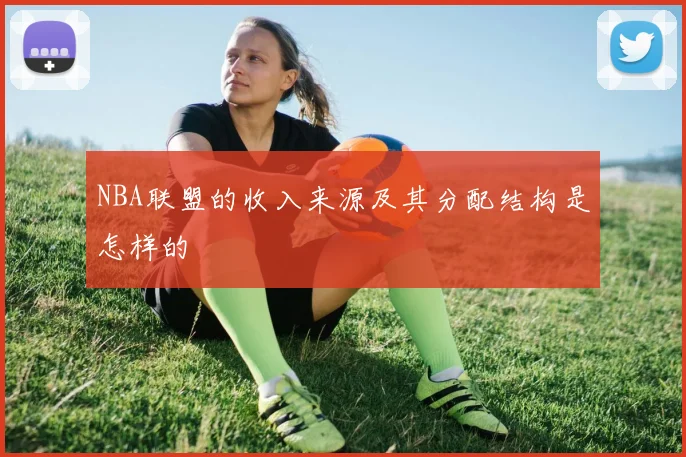 NBA联盟的收入来源及其分配结构是怎样的