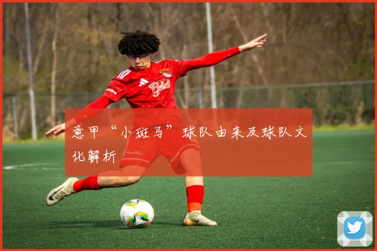 意甲“小斑马”球队由来及球队文化解析