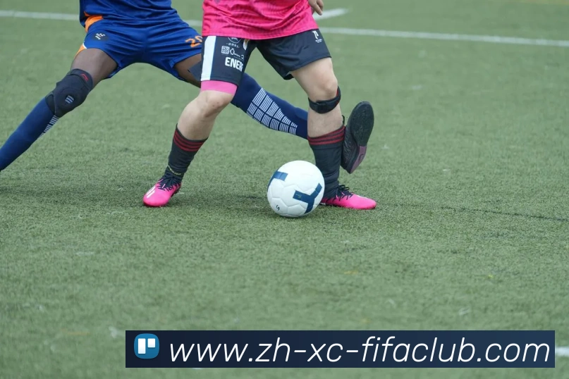 世界杯直播平台生态图