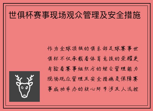 世俱杯赛事现场观众管理及安全措施