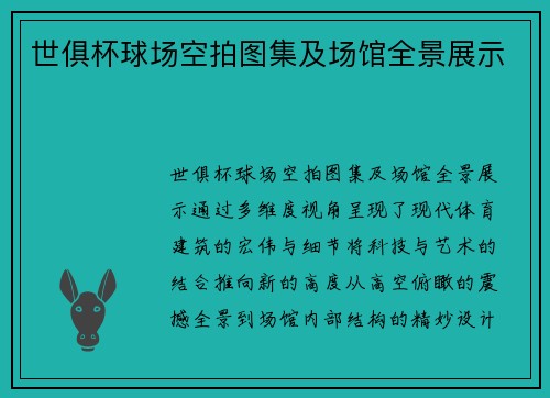 世俱杯球场空拍图集及场馆全景展示